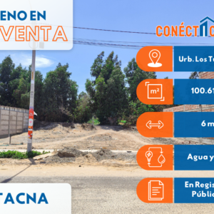Terreno en Av. Basadre y Forero (Urb. Los Tunales) Cercado de Tacna